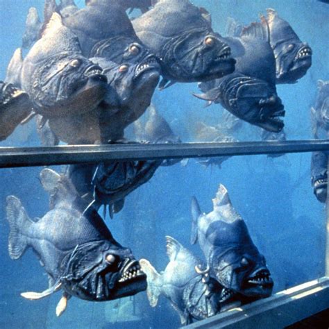 The 9 Best Movies About Piranhas .